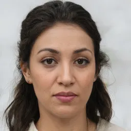 Trần Văn Mạnh avatar